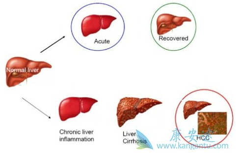 1523350118683688.png blob.png