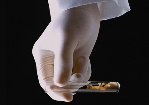 试管婴儿流程 试管婴儿流程