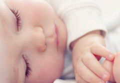 ���彵����������Թ�Ӥ���ɹ��ʵ��ֶ�֮һ