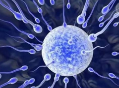 �����Թ�Ӥ����̩���Թ�Ӥ��������ʲô����