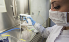 Ŀǰȫ����250�������CAR-Tϸ�����ٴ������о�