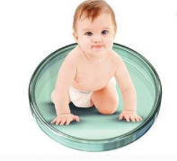 �Թ�Ӥ����ֲ���ѪҲ��������ֲ�ɹ���