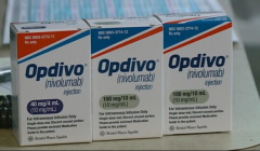 PD-1�������Ƽ�Opdivo�����ڶ��ְ�֢����