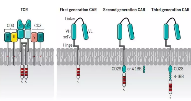 1523418220103052.png blob.png