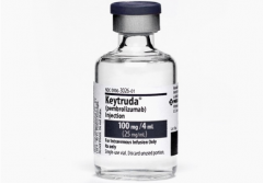 PD-1����PD-L1����NSCLC���ߵ���Ч�Ȼ��ƺ�