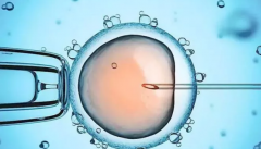 ʲô���Թ�Ӥ���ĵ�һ������?