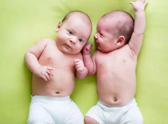 �����Թ�Ӥ��������������Ҫ����Ӧ��