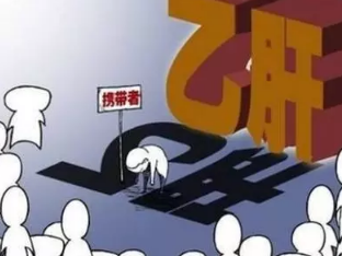 乙肝携带者 乙肝携带者