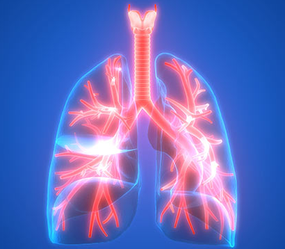 �ΰ�����