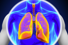 �ΰ���������Ҫ���ڸ�����Ԥ���ΰ�����ת��