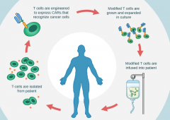 CAR-Tϸ������Ŀǰ�Ѿ���չ���˵�����