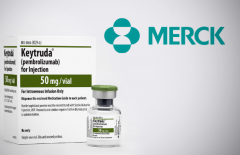 �����Ʒ�PD-1���Ƽ�ͬ���и�����