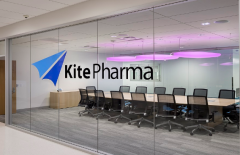 2017���ΪCAR-Tϸ�������Ʒ���Ԫ��