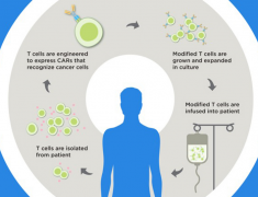 2017�굮�����׿��FDA��׼��CAR-Tϸ���Ʒ���