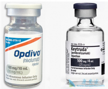 PD-1�����ڸ������͵������ж���һ����Ч��