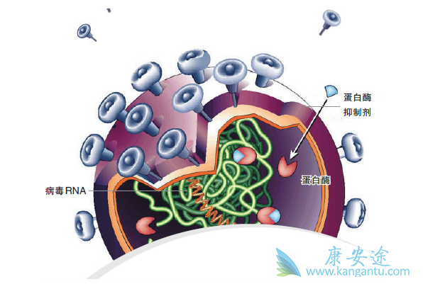 1523869848126384.png blob.png