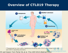 CTL019��CAR-Tϸ���Ʒ�����ߴ����Ե�