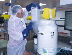 CAR-Tϸ���Ʒ�Ŀǰֻ����ѪҺ����������