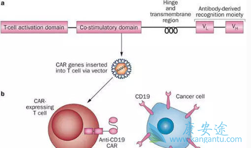 1523947021474468.png blob.png