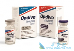 PD-1���ϻ��ƻ���Yervoy�û��������ڸ���