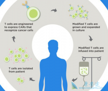 ŵ��KYMRIAH��Bϸ���ͼ����ܰ��԰�Ѫ���׸�ϸ���Ʒ�