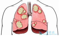 �ΰ��ٰ��ͷΰ��۰���ʲô�������������ʸ���