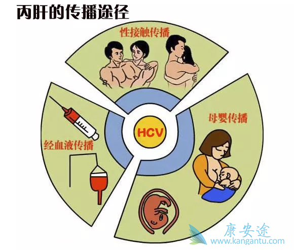 丙肝能结婚吗 丙肝能结婚吗