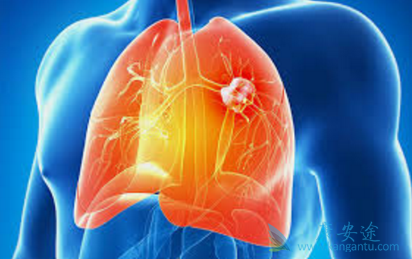 �ΰ��д�Ⱦ��