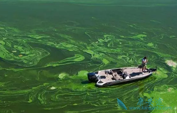 �й���֢���ͼ