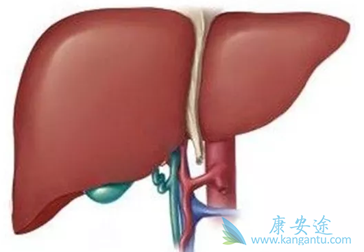 乙肝检测 乙肝检测