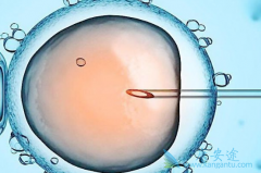 ̩���������Թ�Ӥ��ӵ�гɹ��ʸ߷��õ͵�����