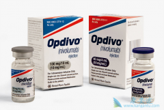 PD-1���Ƽ�Opdivo�����й��ΰ����������������