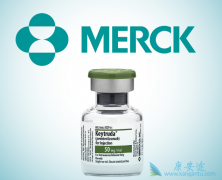 PD-1����Keytruda��ҩһ������NSCLC����������������