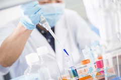 Kite��ҩ���ҹ�˾��CAR-Tϸ�������������