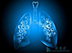 �����ʵ�һ�ķΰ����ڻᴫȾ��