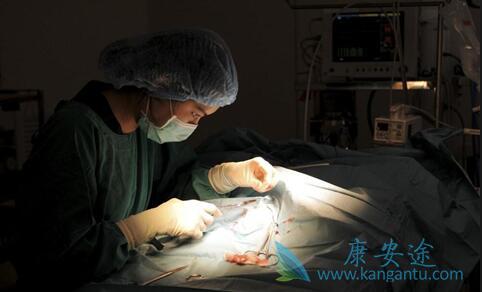 ��֢���Ʒ���