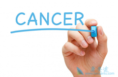 ��̥���׺Ͱ��߿�ԭ����Ҫ�İ�ָ֢�� 