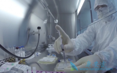 CAR-T�Ʒ����״���׼�������¶����˰�֢���������δ��