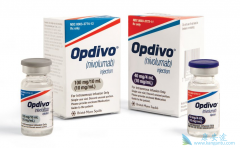 �׸���Ի��˵�PD-1�����о����ݹ���