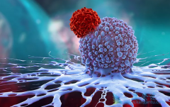 CAR-T�Ʒ���������������ϸ����ɱ����ϸ��