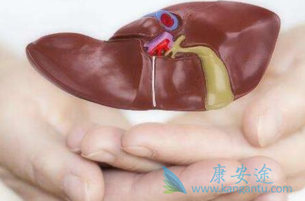 乙肝是什么病 乙肝是什么病