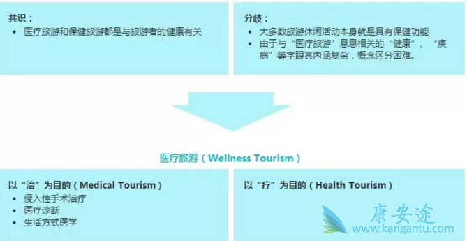医疗旅游 医疗旅游