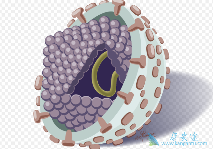 急性丙肝的症状 急性丙肝的症状