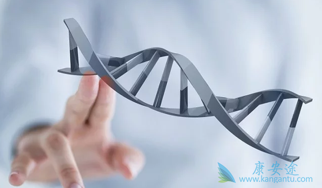 癌症检测 癌症检测