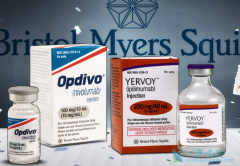 PD-1���Ƽ�Opdivo��ʹ���ڷ�Сϸ���ΰ������ʷ�5��