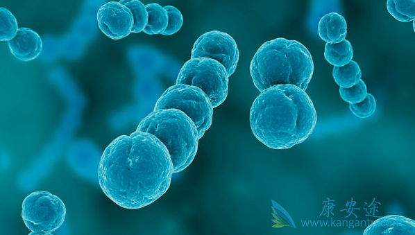 Сϸ���ΰ�������