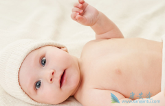 ̩���Թ�Ӥ���ľ������̰�����ֲ����