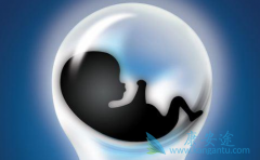 �������в�����ͥ�����ӵ��Թ�Ӥ������ô����