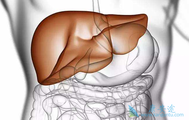 乙肝抗体阳性 乙肝抗体阳性