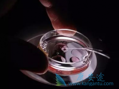 ̩���Թ�Ӥ��ҽԺ���а�ǰ������ҽԺ���ļ���